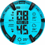 UsA LCD Weather Anim Mod Apk for android