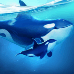 World of Water Mod Apk 4.44.1 for android