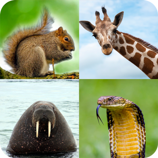 Animal Quiz Mod Apk 1.1.39 for android