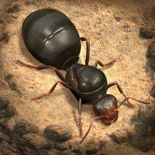 The Ants Mod Apk 3.78.0 for android