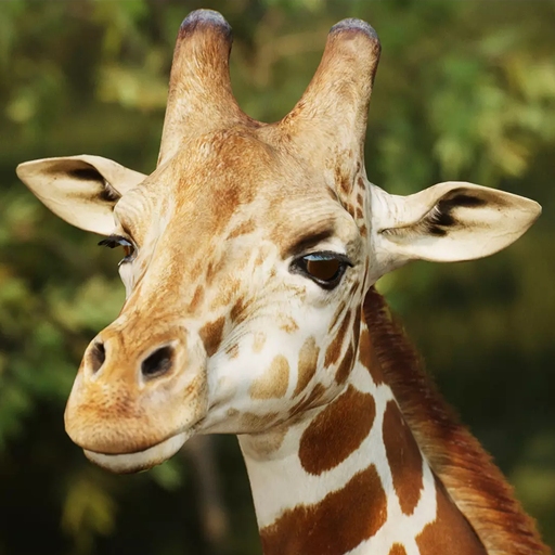 The Giraffe Mod Apk 1.2.3 for android