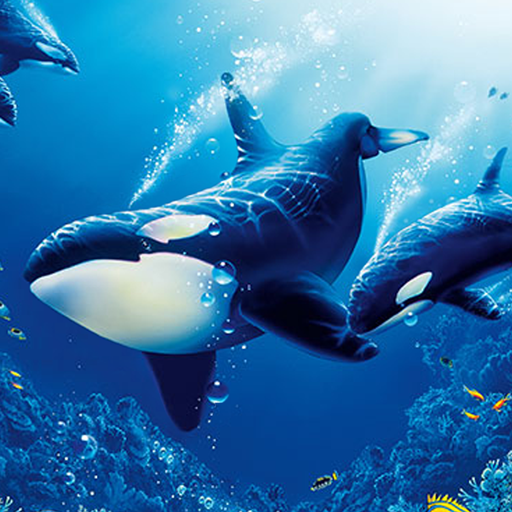 The Killer Whale Mod Apk 1.2.1 for android