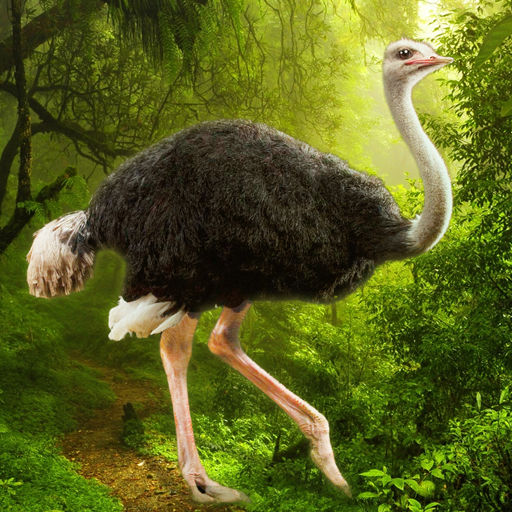 The Ostrich Mod Apk 1.2.2 for android
