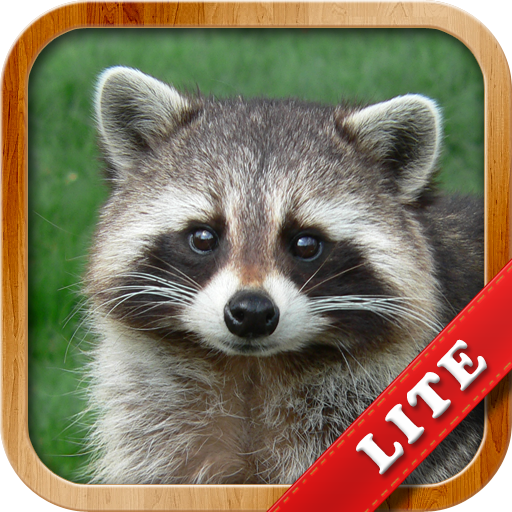 Animals for Kids Mod Apk 9.6.2 for android