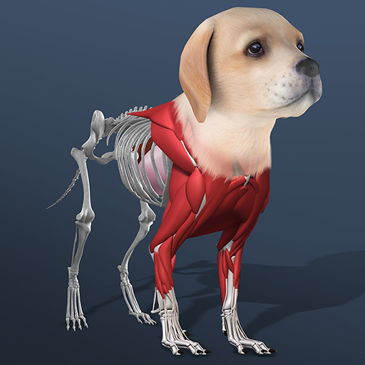 Idle Pet Mod Apk 7.3.3 for android