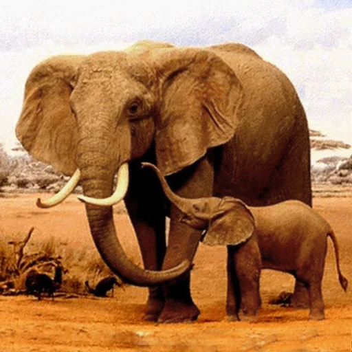 The Elephant Mod Apk 1.2.5 for android