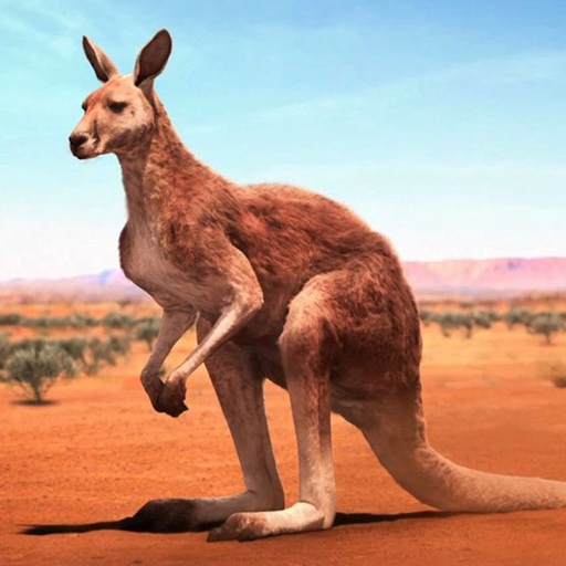 The Kangaroo Mod Apk 1.2.3 for android