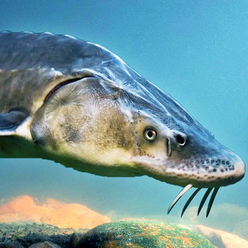 The Sturegon Mod Apk 1.2.5 for android