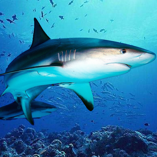 The DogFish Mod Apk 1.2.3 for android