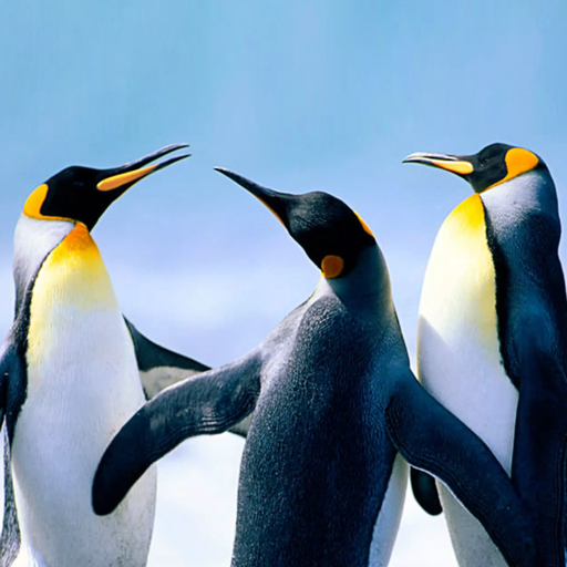 The Penguin Mod Apk 1.2.2 for android