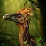 Troodon Dinosaur Simulator Mod Apk 1.2.7 for android