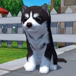 Dog Simulator 3D Mod Apk 1.1.00 for android