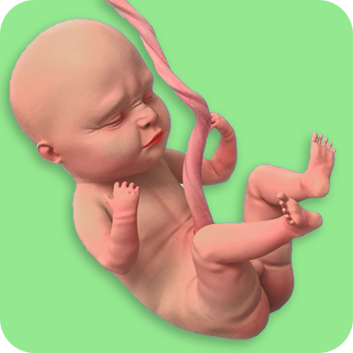 Mom Pregnancy Games Mod Apk 0.22 for android
